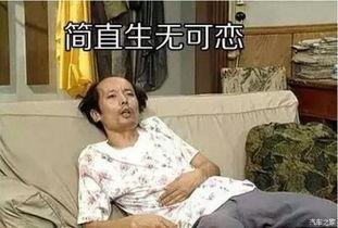 娱乐吃瓜酱熊孩子,娱乐圈的“熊”现象揭秘