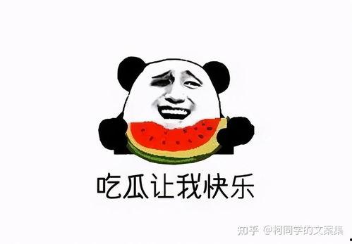 娱乐吃瓜君熊猫头,娱乐吃瓜界的潮流神器