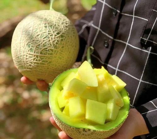 娱乐圈吃瓜有什么好处,揭秘娱乐八卦背后的乐趣与益处