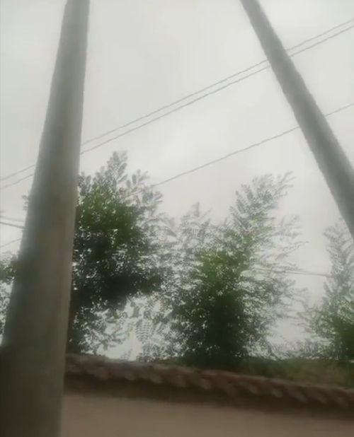 娱乐吃瓜酱电线杆,揭秘娱乐圈那些不为人知的秘密