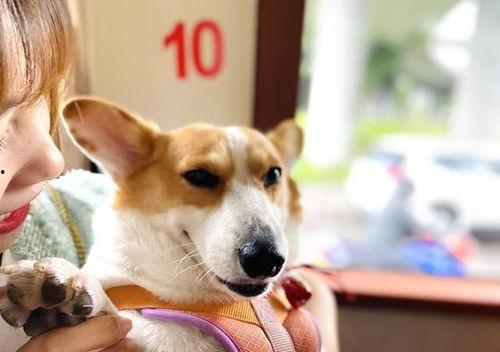 大懒猫娱乐八卦爆料吃瓜