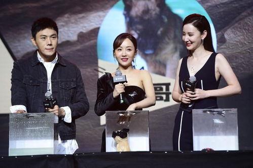 娱乐圈吃瓜大队集合视频