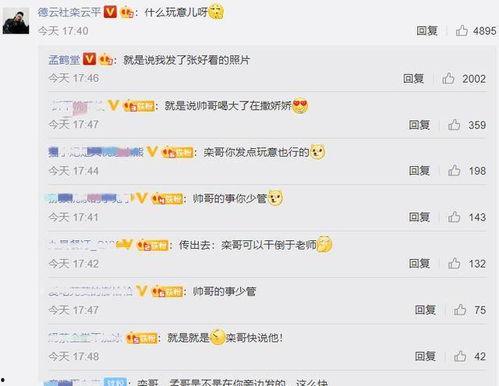 娱乐吃瓜君评论区临沂,娱乐吃瓜君的瓜田盛宴