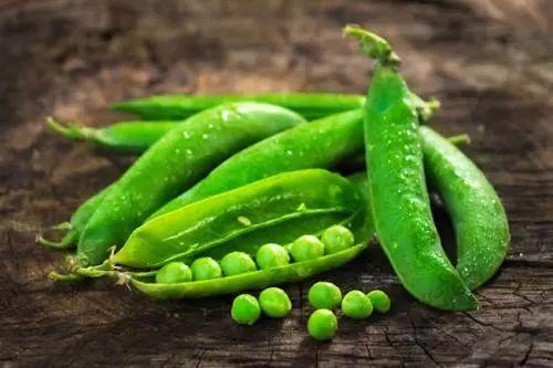 娱乐吃瓜又吃豆,吃瓜又吃豆，揭秘娱乐圈那些事儿